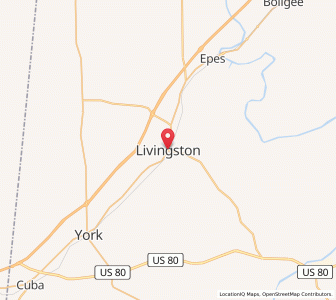 Map of Livingston, Alabama