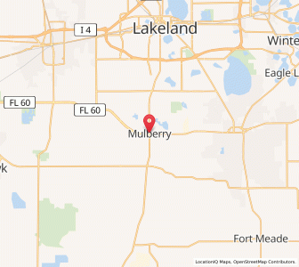 Map of Mulberry, Florida