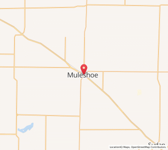 Map of Muleshoe, Texas