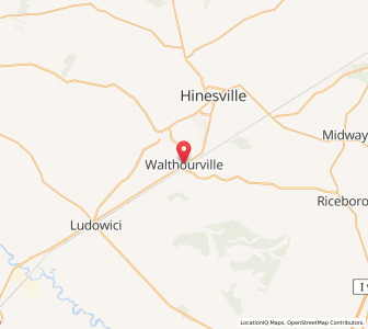 Map of Walthourville, Georgia