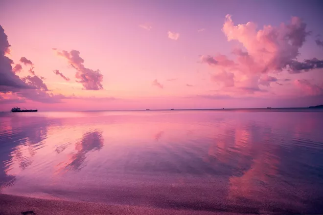 A beautiful pink sunset over a calm sea with distant ships.