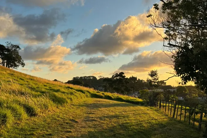 A path along a green hillside with trees, lit by warm, low golden-hour sunlight under scattered clouds.
