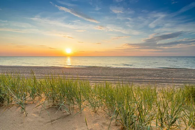 The Sun on the sea horizon, seen from a beach with dune grass in the foreground.