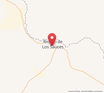 Map of Rincón de Los Sauces, Neuquen