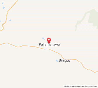 Map of Pallamallawa, New South Wales