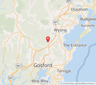 Map of Palm Dale, New South Wales