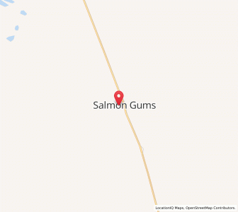 Map of Salmon Gums, Western Australia