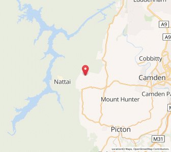 Map of Stevys Forest, New South Wales