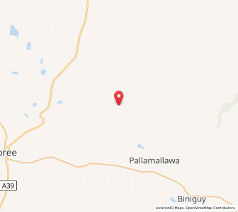 Map of Wongabinda, New South Wales