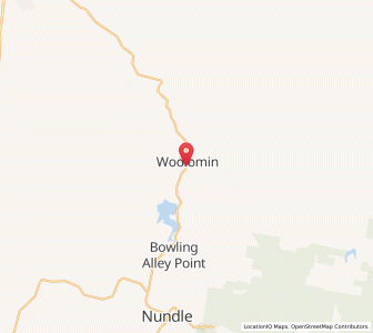 Map of Woolomin, New South Wales