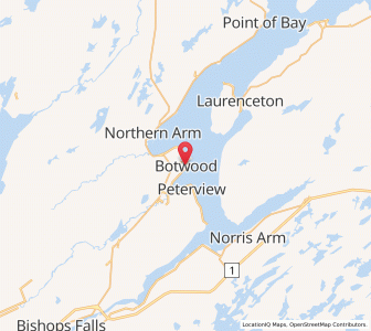 Map of Botwood, Newfoundland & LabradorNewfoundland and Labrador
