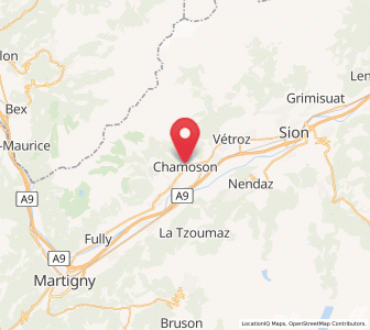 Map of Chamoson, Valais