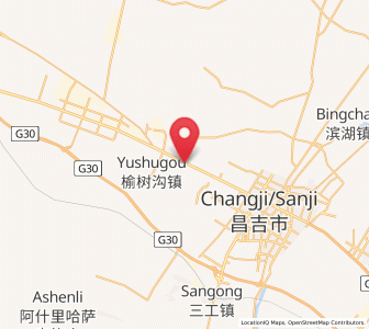 Map of Erliugong, Xinjiang