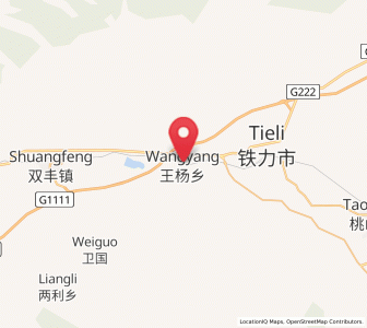 Map of Wangyang, Heilongjiang
