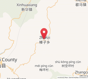 Map of Zhenzi, Hubei