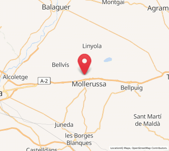 Map of el Palau d'Anglesola, Catalonia