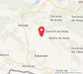 Map of Palazuelo de las Cuevas, Castille and León