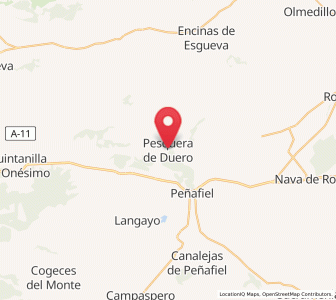 Map of Pesquera de Duero, Castille and León