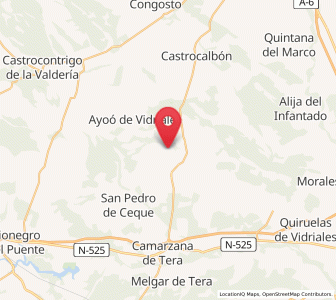 Map of San Pedro de la Viña, Castille and León