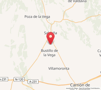 Map of Villa romana La Olmeda, Castille and León
