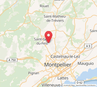 Map of Saint-Clément-de-Rivière, Occitanie
