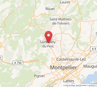 Map of Saint-Gély-du-Fesc, Occitanie
