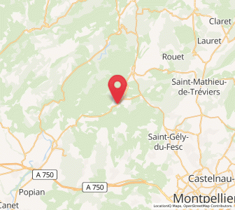 Map of Viols-le-Fort, Occitanie