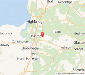 Map of Woolavington, EnglandEngland