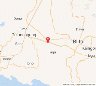 Map of Ngunut, East Java