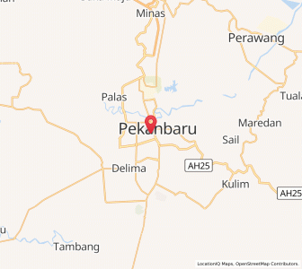 Map of Pekanbaru, Riau