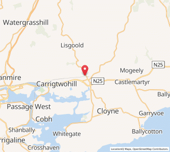 Map of Avoncore, MunsterMunster