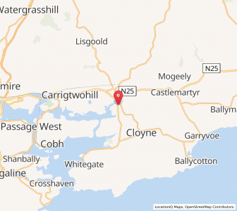 Map of Ballinacurra, MunsterMunster