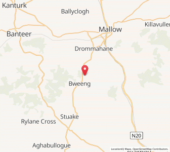 Map of Carrigdeena, MunsterMunster