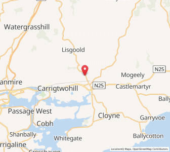 Map of Carrigogna Bridge, MunsterMunster