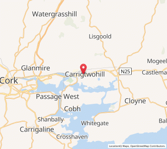 Map of Carrigtwohill, MunsterMunster