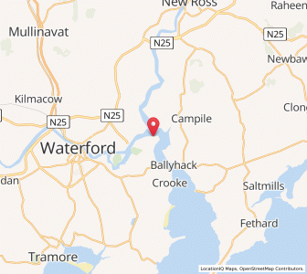 Map of Cheekpoint, MunsterMunster