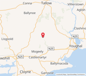 Map of Dongan Bridge, MunsterMunster