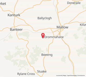 Map of Glantane, MunsterMunster