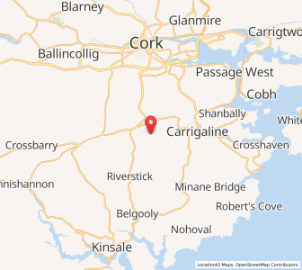 Map of Meadstown, MunsterMunster