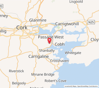 Map of Monkstown, MunsterMunster