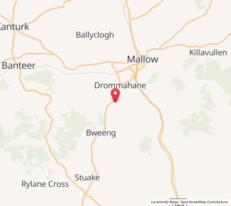 Map of Nursetown, MunsterMunster