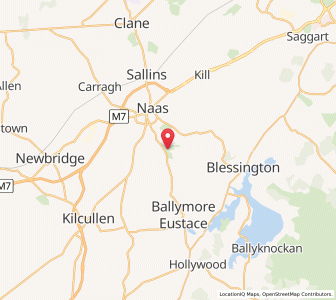 Map of Punchestown, LeinsterLeinster