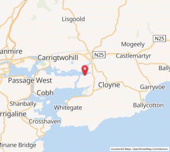 Map of Rathcoursey, MunsterMunster