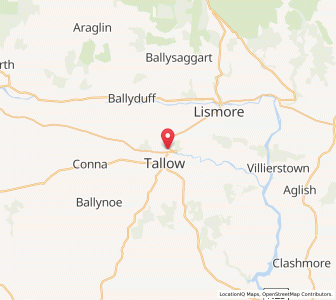Map of Tallowbridge, MunsterMunster