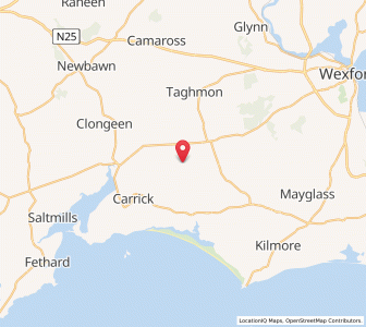 Map of Tullycanna, LeinsterLeinster