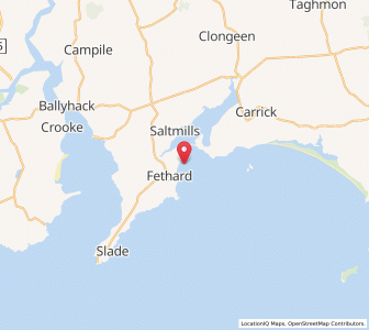 Map of Wood Village, LeinsterLeinster