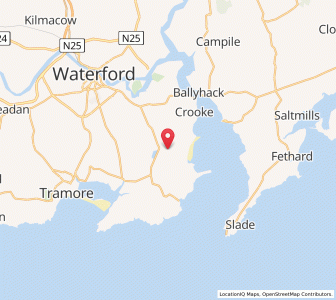 Map of Woodstown, MunsterMunster