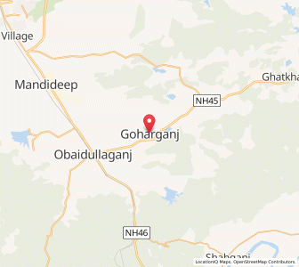 Map of Goharganj, Madhya Pradesh
