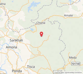 Map of Naneli, Goa