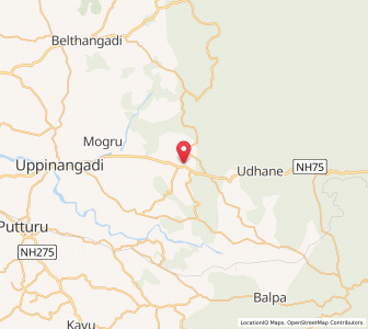 Map of Nelyady, Karnataka
